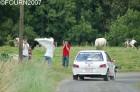achene_2007_09.jpg