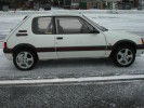 finie205gti_06.jpg