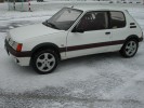 /images/205gti_fabian/finie205gti_07.TN__.jpg